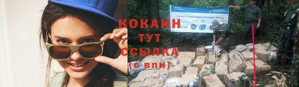 спиды Дмитриев
