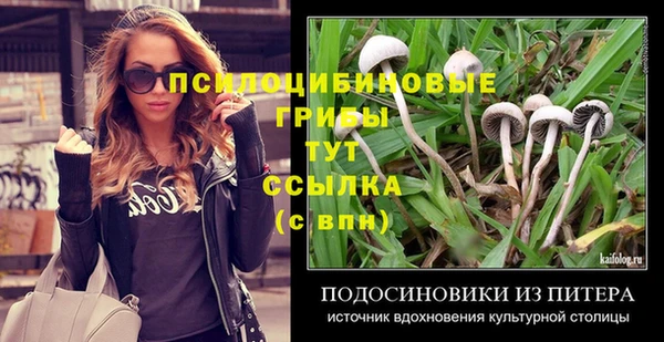 спиды Дмитриев