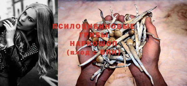спиды Дмитриев