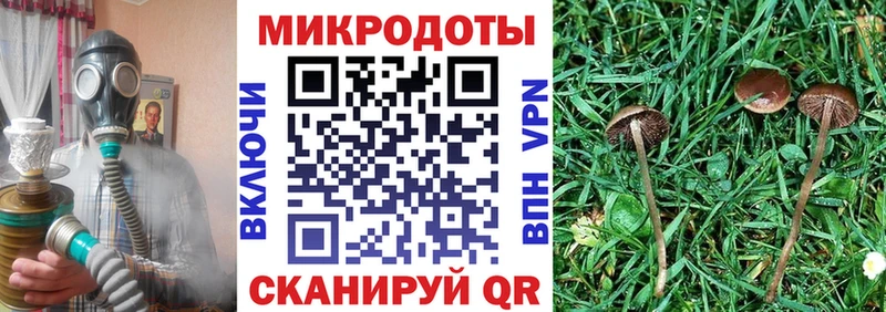Галлюциногенные грибы мухоморы дарнет шоп Ангарск